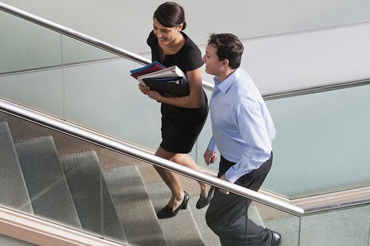 Nhân viên thử việc - Ảnh 1.