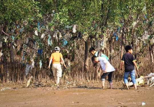 Kinh hoàng cánh rừng rác khổng lồ ven bờ biển ở Thanh Hóa - Ảnh 6.