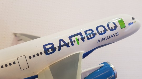 Bamboo Airways của tỉ phú Trịnh Văn Quyết tuyên bố cuối năm nay cất cánh - Ảnh 1.