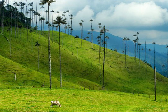 Vịnh Hạ Long, Mù Cang Chải là những địa điểm có cảnh đẹp nhất Trái đất - Ảnh 14.