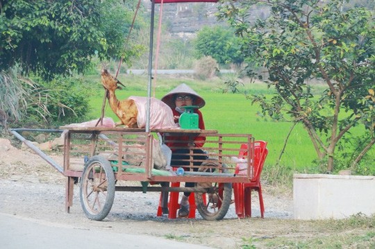 Thịt dê “thấm” bụi bẩn bán tràn lan bên đường vào Tràng An - Ảnh 3.