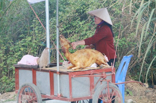 Thịt dê “thấm” bụi bẩn bán tràn lan bên đường vào Tràng An - Ảnh 4.