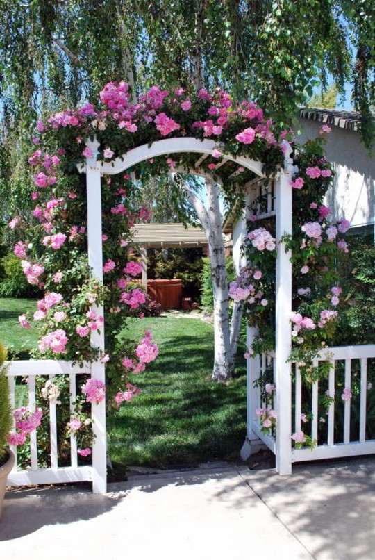 Khu vườn trở nên lãng mạn nhờ cổng vòm rực rỡ sắc hoa - Ảnh 1.