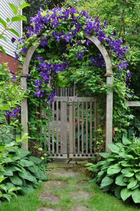 Khu vườn trở nên lãng mạn nhờ cổng vòm rực rỡ sắc hoa - Ảnh 2.