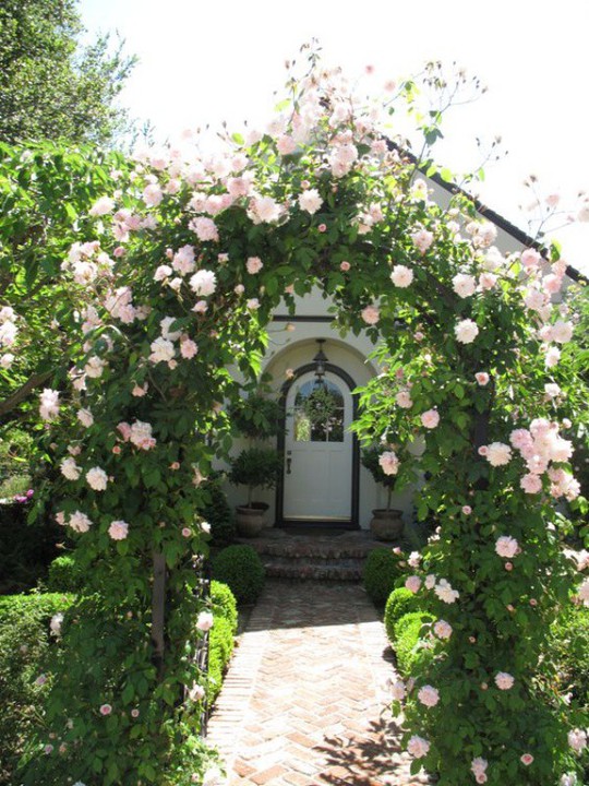 Khu vườn trở nên lãng mạn nhờ cổng vòm rực rỡ sắc hoa - Ảnh 5.