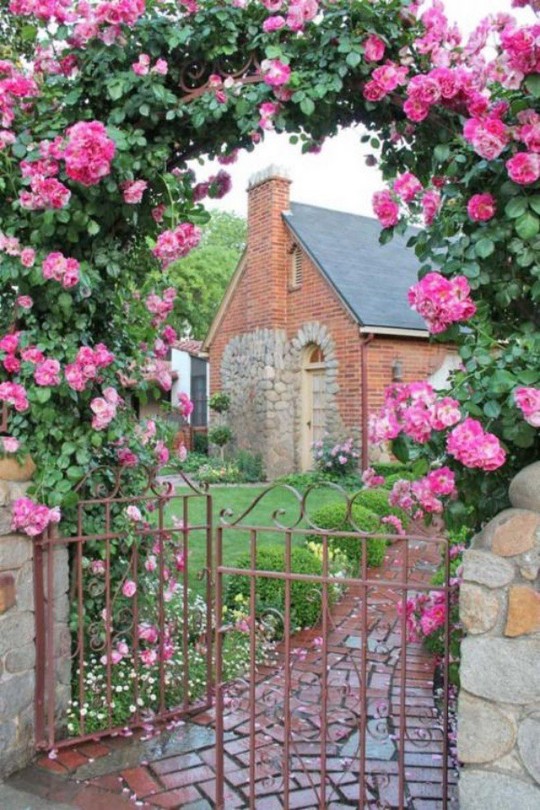 Khu vườn trở nên lãng mạn nhờ cổng vòm rực rỡ sắc hoa - Ảnh 10.