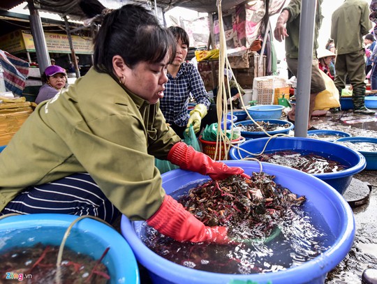 Chợ cá Bến Do nhộn nhịp lúc bình minh - Ảnh 6.