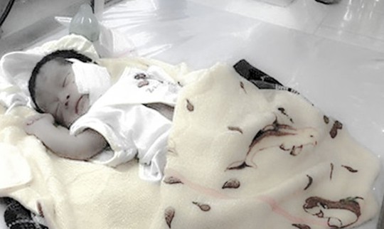 Khởi tố vụ án chôn sống trẻ sơ sinh ở Bình Thuận - Ảnh 1.
