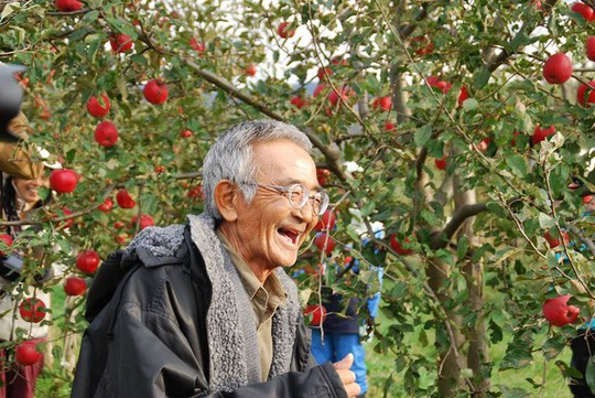 Vườn táo đẹp như cổ tích của cụ ông người Nhật  - Ảnh 2.