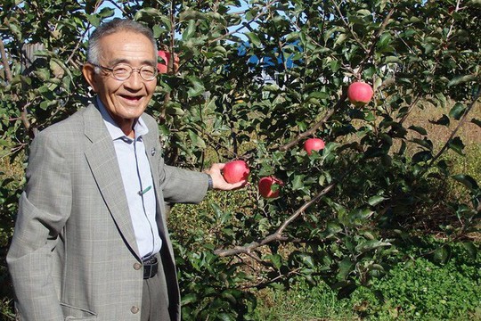 Vườn táo đẹp như cổ tích của cụ ông người Nhật  - Ảnh 3.