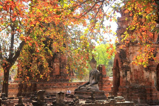 Một ngày thú vị ở cố đô Ayutthaya - Ảnh 3.