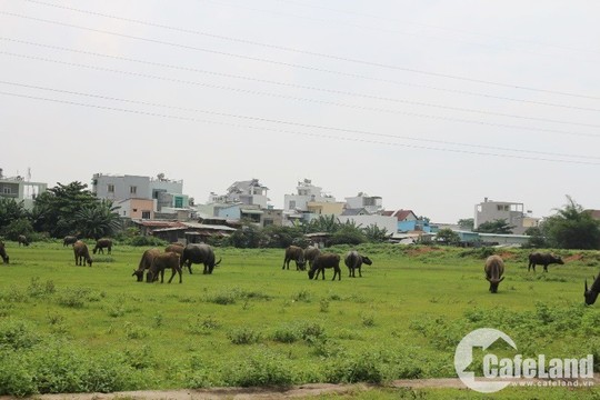 Thị trường đất nền: giao dịch giảm, giá không giảm - Ảnh 1.