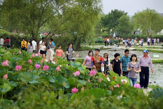 Những lễ hội mùa hè hấp dẫn tại Hàn Quốc - Ảnh 6.