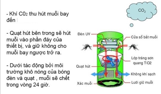 Bảo vệ con trẻ trước bệnh lây truyền từ muỗi trong mùa mưa - Ảnh 3.