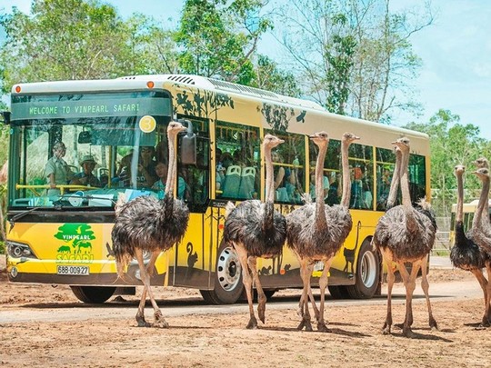 Vịnh Hạ Long: điểm đến hàng đầu VN 2018 - Ảnh 25.