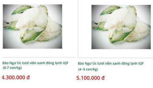 Bào ngư viền xanh 7 triệu đồng/kg, nhà giàu vẫn mua tẩm bổ - Ảnh 3.