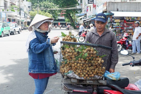 Nhãn xuồng đầu mùa giá cao ngất ngưởng - Ảnh 1.