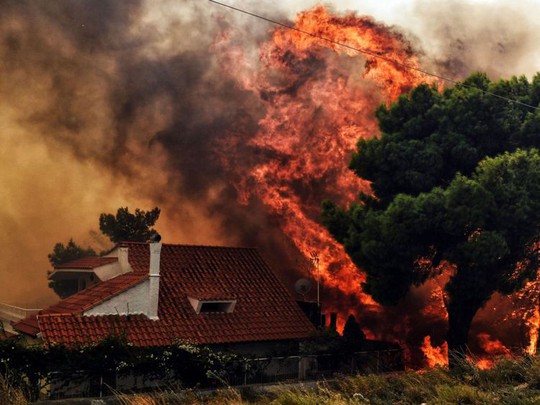 Cháy rừng Hy Lạp: Hàng chục người vượt không nổi biển lửa, chết gục trong sân nhà - Ảnh 2.