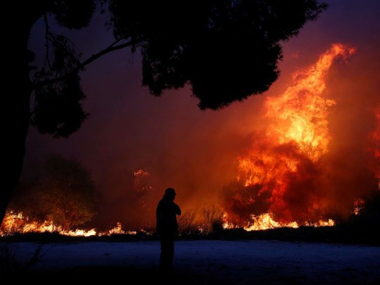 Cháy rừng Hy Lạp: Hàng chục người vượt không nổi biển lửa, chết gục trong sân nhà - Ảnh 5.