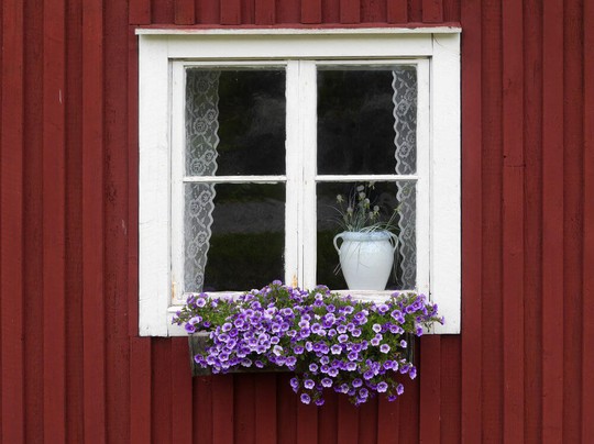 Những khung cửa sổ đẹp hút hồn nhờ sắc hoa rực rỡ - Ảnh 13.
