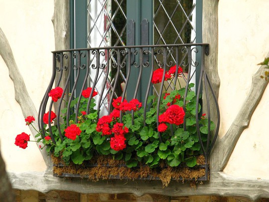 Những khung cửa sổ đẹp hút hồn nhờ sắc hoa rực rỡ - Ảnh 18.