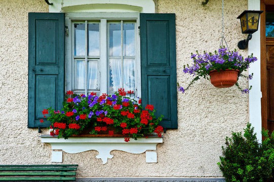 Những khung cửa sổ đẹp hút hồn nhờ sắc hoa rực rỡ - Ảnh 4.