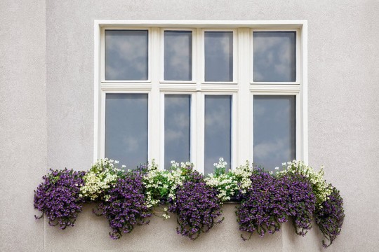 Những khung cửa sổ đẹp hút hồn nhờ sắc hoa rực rỡ - Ảnh 6.