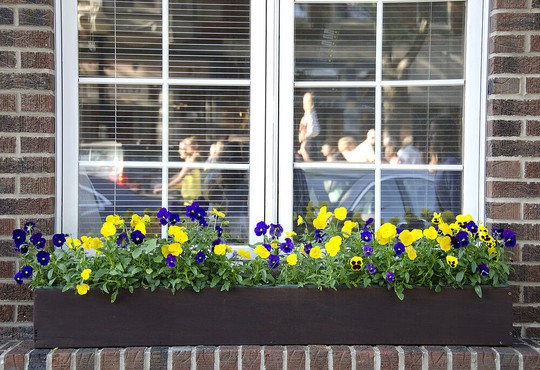 Những khung cửa sổ đẹp hút hồn nhờ sắc hoa rực rỡ - Ảnh 9.