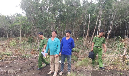 4 đối tượng phá rừng ở Phú Quốc bỏ trốn - Ảnh 1.