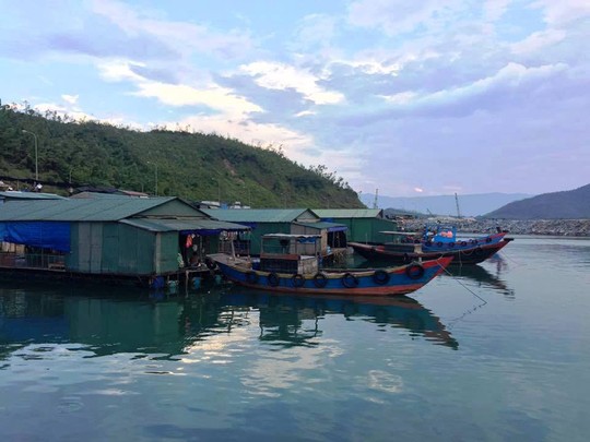 Hà Tĩnh níu chân du khách mùa mực nhảy - Ảnh 1.