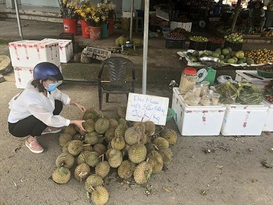 Hạt sầu riêng giá cao hơn quả: Nghi thương lái giở trò? - Ảnh 2.