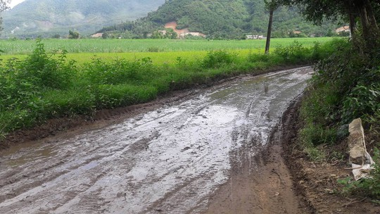 Vụ Ai cho phép khai thác cát làm đường?: Huyện vào cuộc kiểm tra khẩn cấp - Ảnh 4.