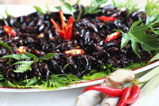 Dế xào sả ớt - món ăn níu chân du khách ở Lâm Đồng - Ảnh 6.