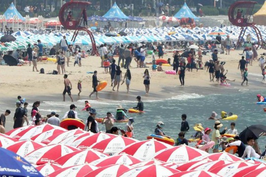 Triều Tiên cảnh báo về nắng nóng chưa từng có - Ảnh 2.