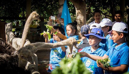 Học mà chơi, chơi mà học tại Fun Farm Hồ Mây - Ảnh 2.