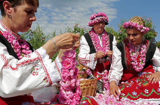 Thung lũng hoa hồng thơ mộng giữa núi đồi Bulgaria - Ảnh 4.