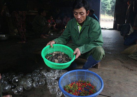 Đặc sản chuột ăn hạt sâm đãi khách quý ở núi Ngọc Linh - Ảnh 2.