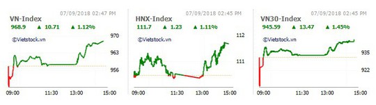 VNM và ngân hàng dẫn sóng, VN-Index tăng gần 11 điểm - Ảnh 1.