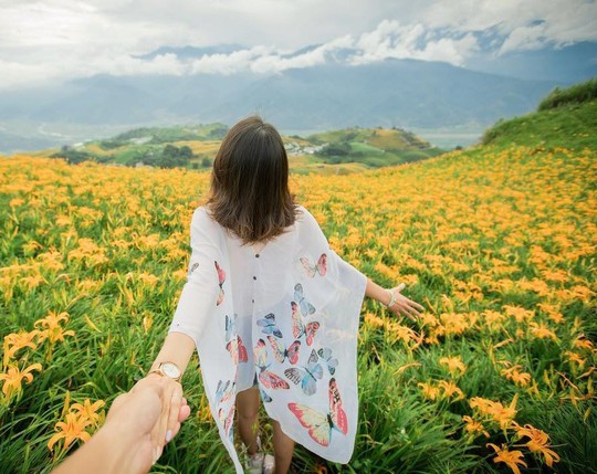 Chiêm ngưỡng xứ sở hoa kim châm đẹp như tranh vẽ ở Đài Loan - Ảnh 9.