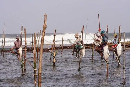 Nghệ thuật câu cá trên cọc kheo của các ngư dân Sri Lanka - Ảnh 8.
