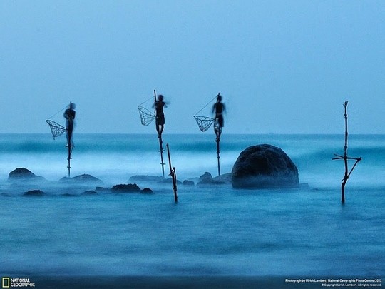 Nghệ thuật câu cá trên cọc kheo của các ngư dân Sri Lanka - Ảnh 1.