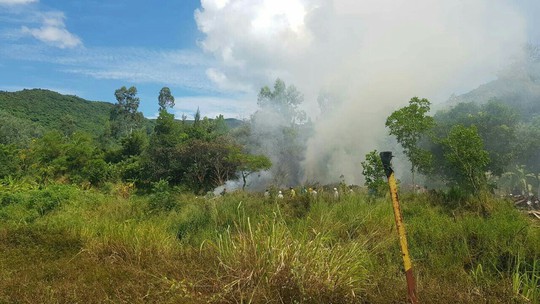 Kịp thời dập tắt đám cháy rộng 1.000 m2 tại bán đảo Sơn Trà - Ảnh 2.