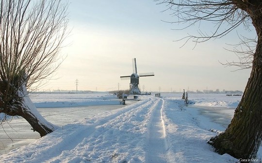 Đẹp nao lòng mùa đông ở Hà Lan - Ảnh 12.