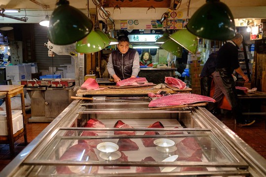 Chợ cá lớn nhất thế giới ở Nhật Bản - nơi bán những con cá triệu USD - Ảnh 12.
