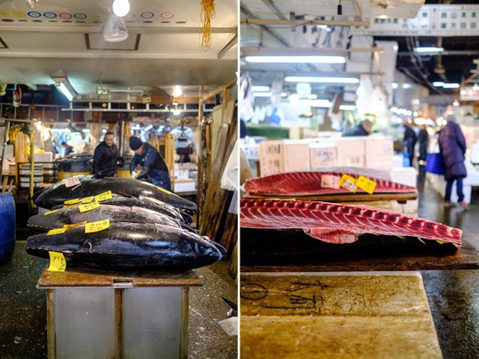 Chợ cá lớn nhất thế giới ở Nhật Bản - nơi bán những con cá triệu USD - Ảnh 8.