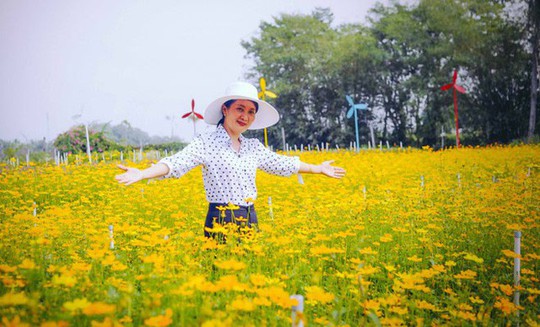 Không thể tin nổi giữa Sài Gòn có cánh đồng hoa đẹp đến thế! - Ảnh 8.