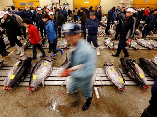 Chợ cá lớn nhất thế giới ở Nhật Bản - nơi bán những con cá triệu USD - Ảnh 9.