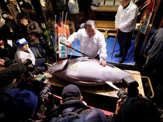 Chợ cá lớn nhất thế giới ở Nhật Bản - nơi bán những con cá triệu USD - Ảnh 10.