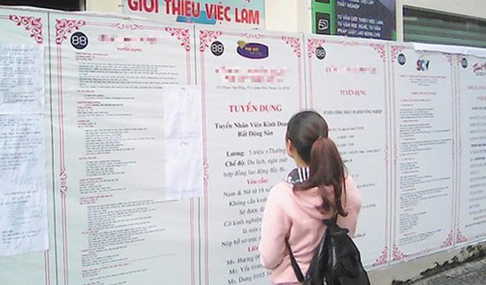 Mồi nhử việc nhẹ, lương cao - Ảnh 1.