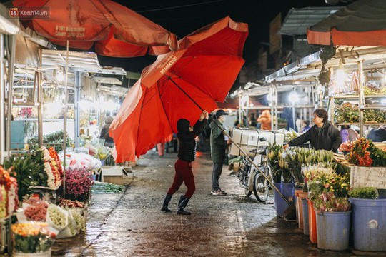 Chợ hoa Quảng An sáng đèn, lung linh những ngày giáp Tết - Ảnh 6.